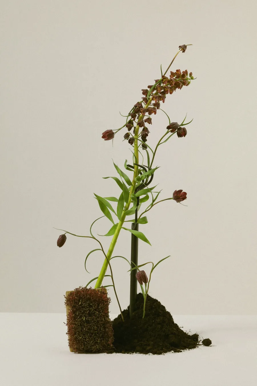 RU portfolio shot 2